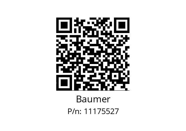  8155-25.0100 Baumer 11175527