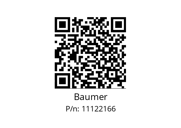   Baumer 11122166