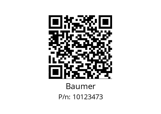   Baumer 10123473