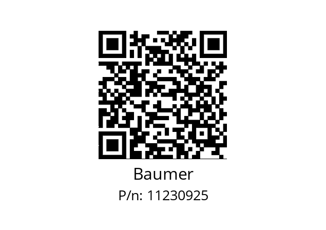   Baumer 11230925