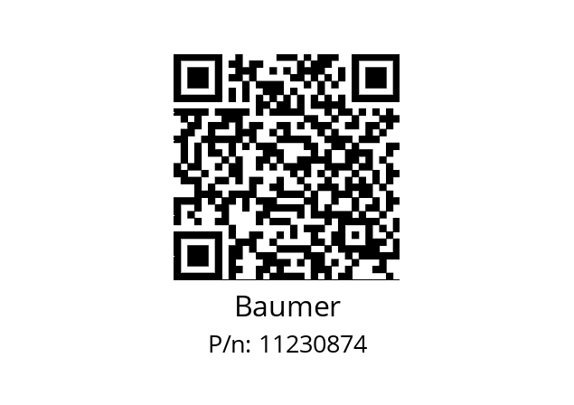   Baumer 11230874