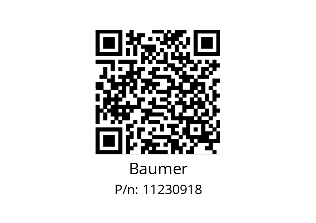   Baumer 11230918