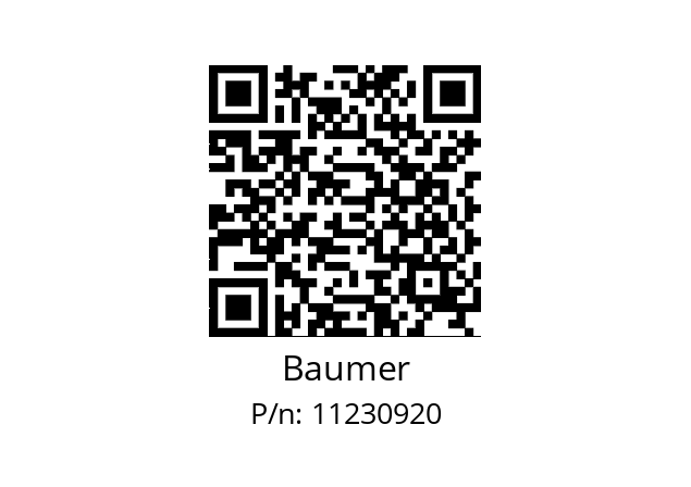   Baumer 11230920