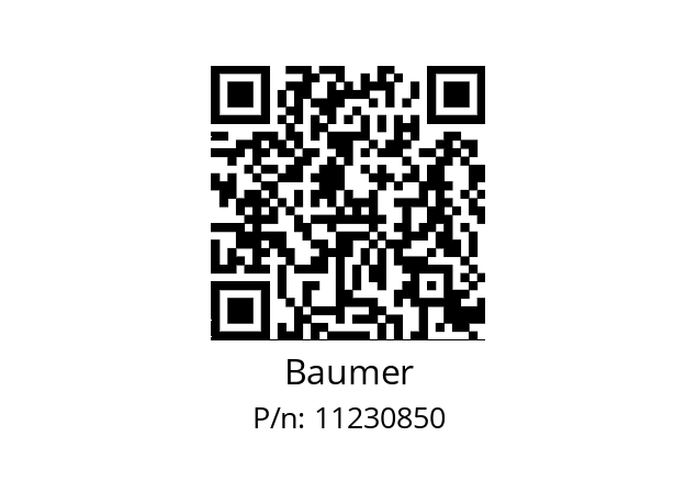   Baumer 11230850