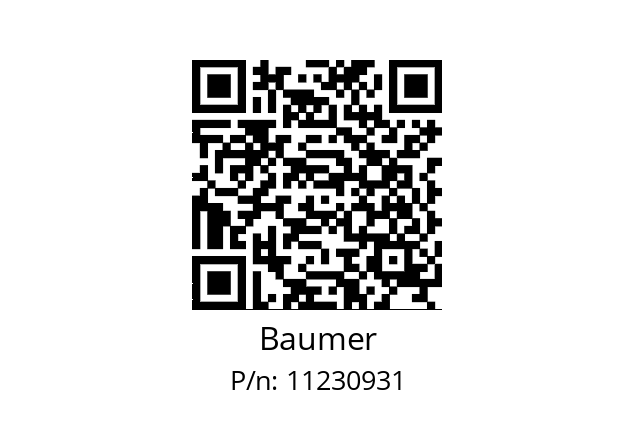   Baumer 11230931