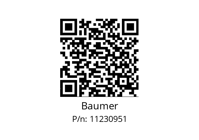   Baumer 11230951