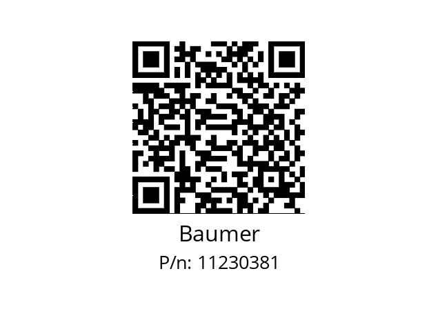   Baumer 11230381