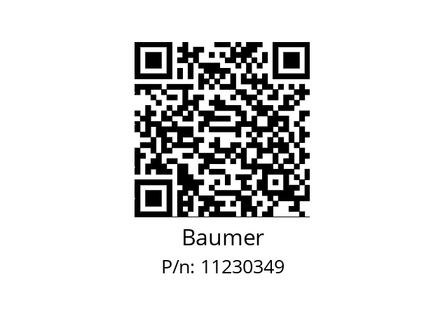   Baumer 11230349