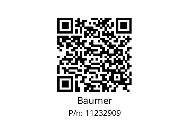   Baumer 11232909