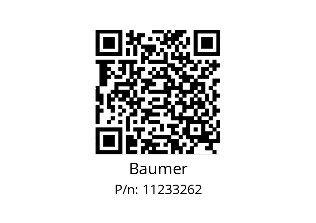   Baumer 11233262