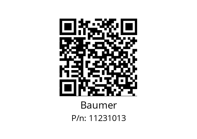   Baumer 11231013