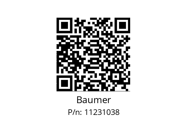   Baumer 11231038