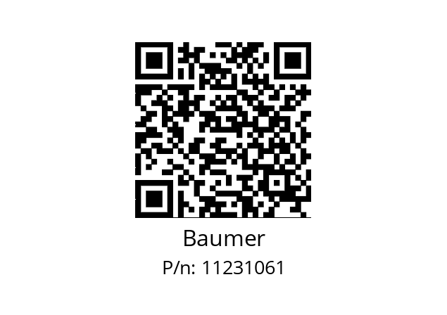   Baumer 11231061