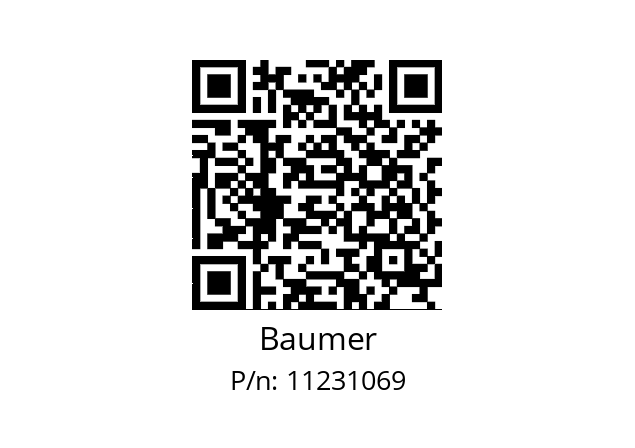   Baumer 11231069