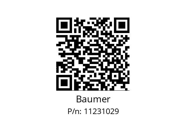   Baumer 11231029