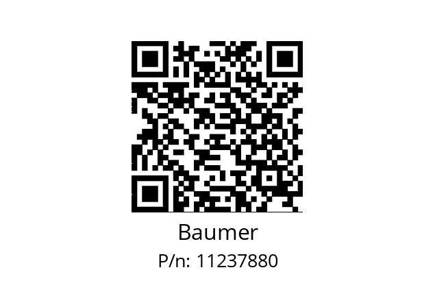   Baumer 11237880