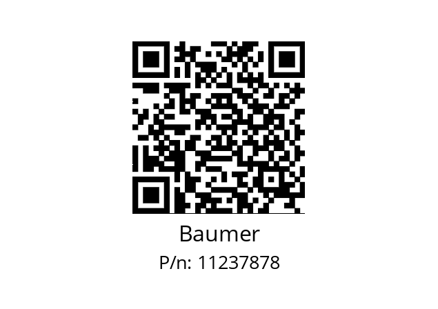   Baumer 11237878