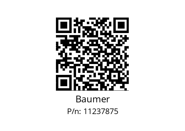   Baumer 11237875