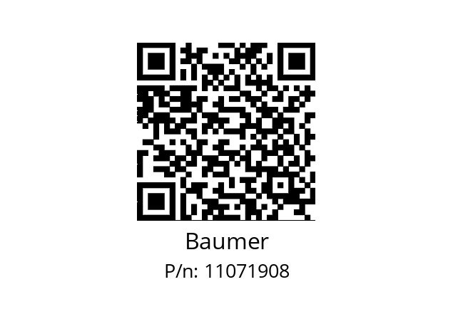   Baumer 11071908