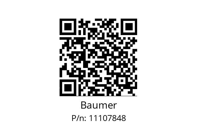   Baumer 11107848