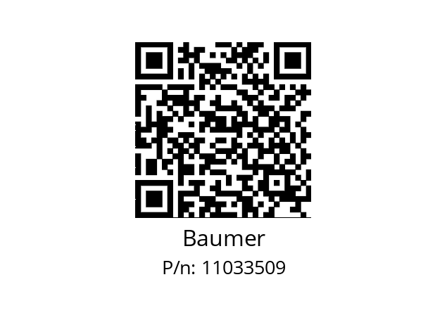  NE210.A04 Baumer 11033509