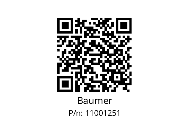   Baumer 11001251