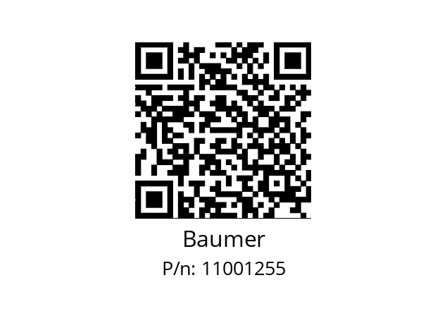   Baumer 11001255