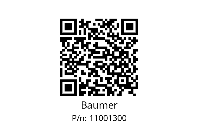   Baumer 11001300