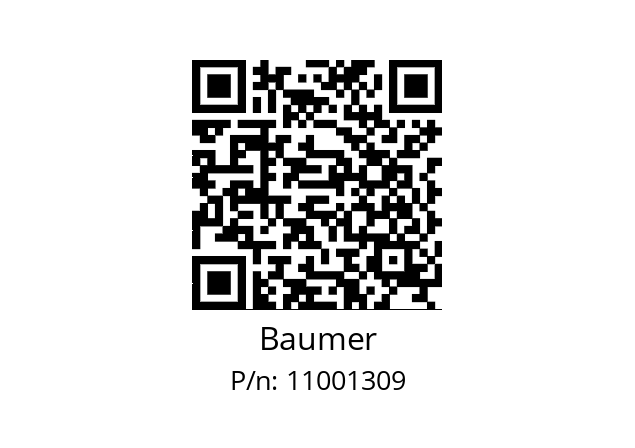   Baumer 11001309