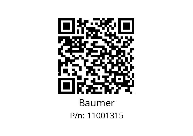   Baumer 11001315