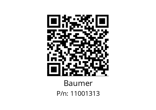   Baumer 11001313