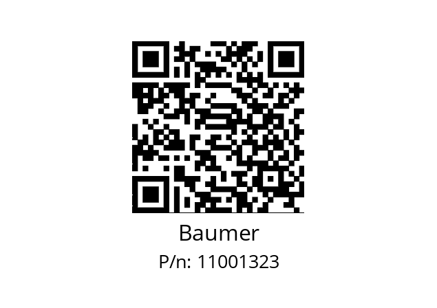   Baumer 11001323