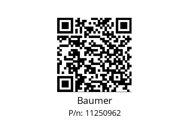  PBMN-24B15RA11406231010 Baumer 11250962