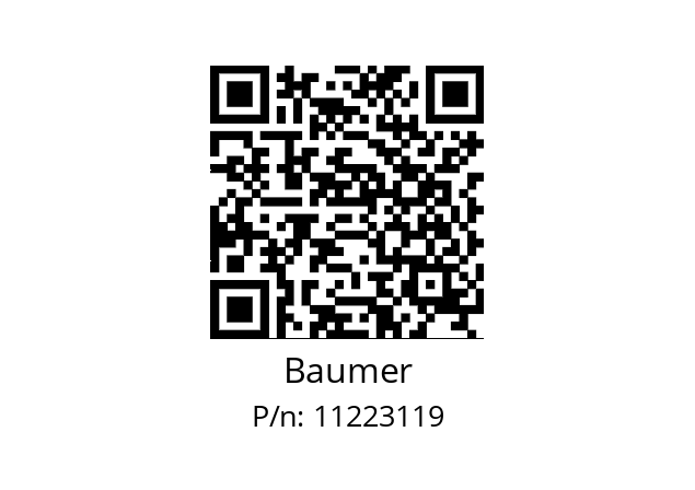  PBMN-24B09RA11409212000 Baumer 11223119