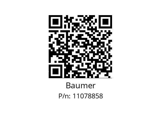  POG90 DN 2048 I Baumer 11078858