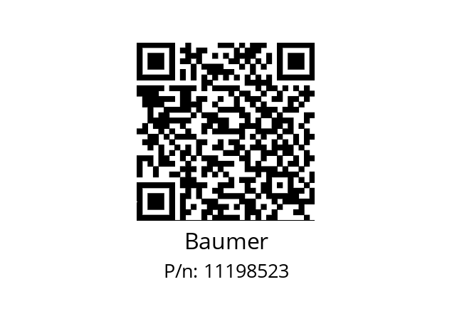   Baumer 11198523