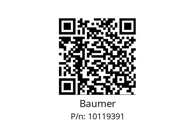   Baumer 10119391