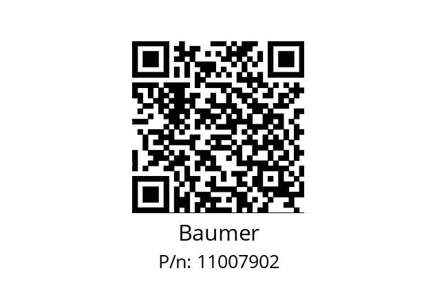   Baumer 11007902