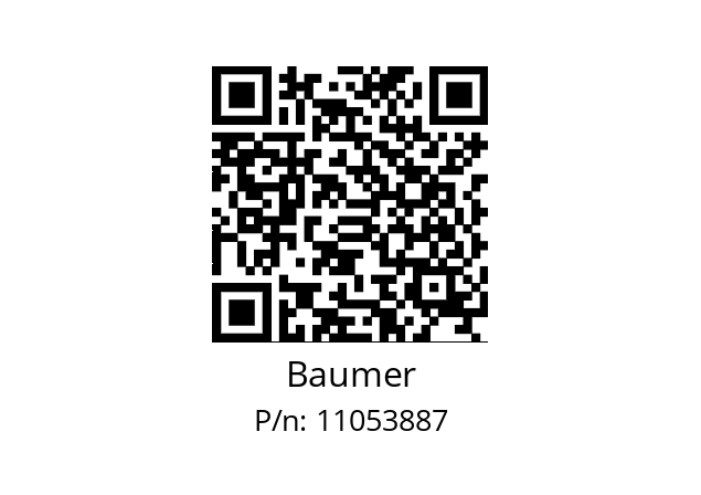   Baumer 11053887