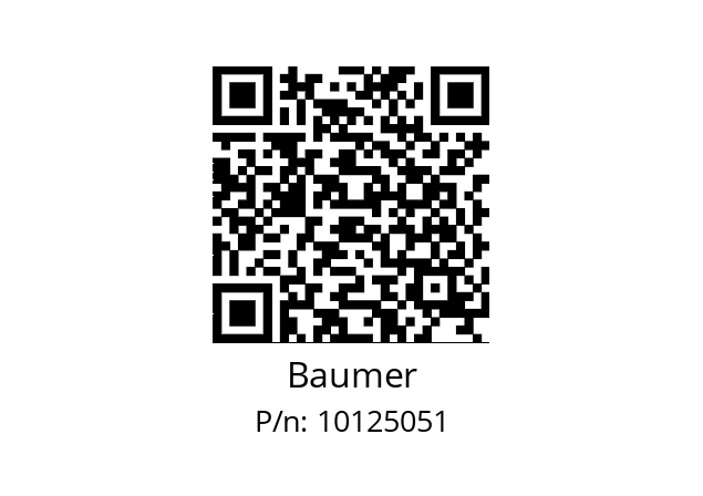  Z 119.017 Baumer 10125051