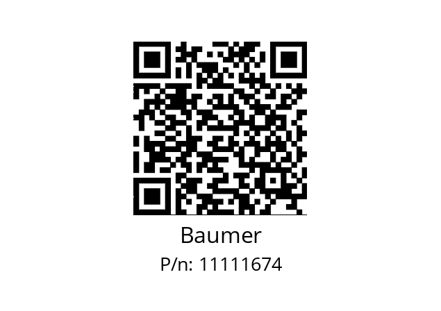   Baumer 11111674