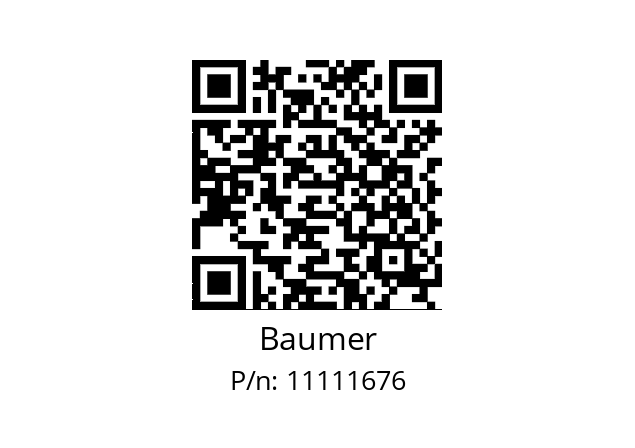   Baumer 11111676