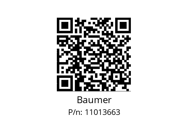   Baumer 11013663