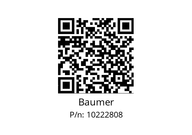   Baumer 10222808