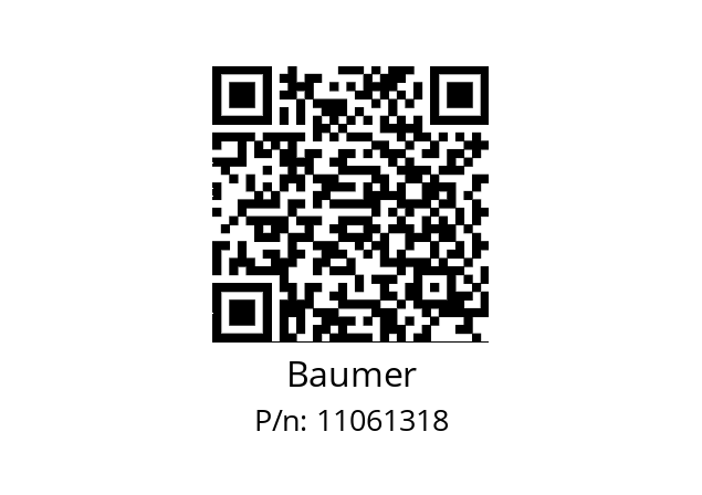   Baumer 11061318