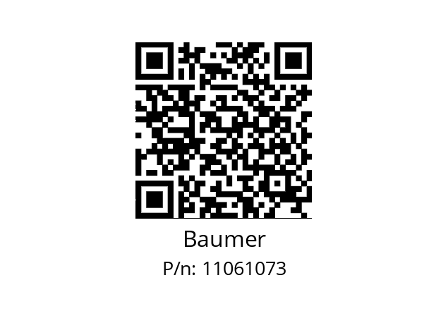   Baumer 11061073