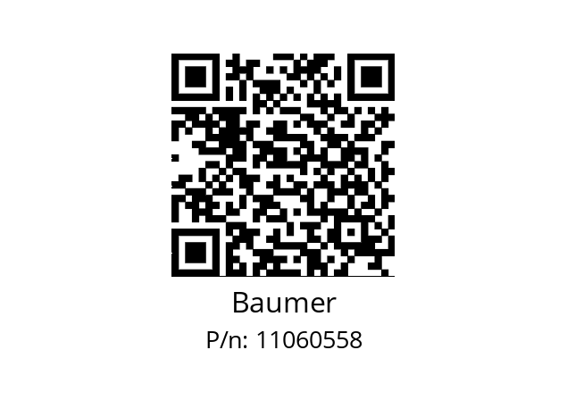   Baumer 11060558