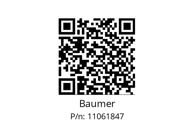   Baumer 11061847