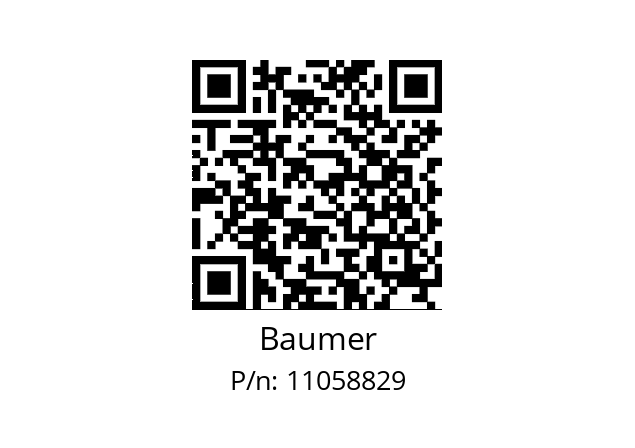   Baumer 11058829