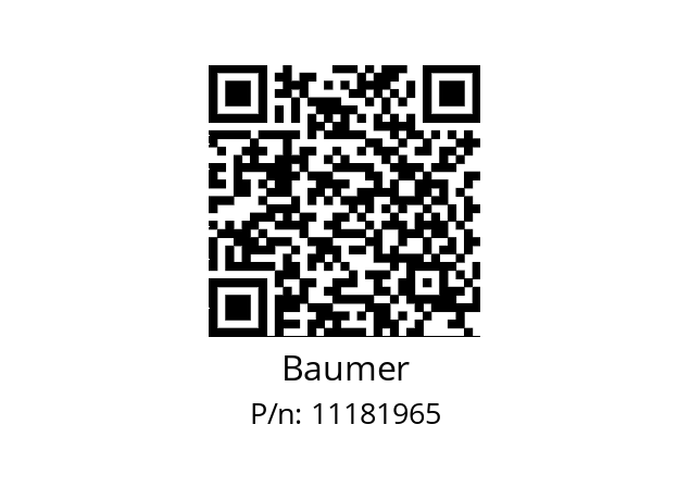   Baumer 11181965